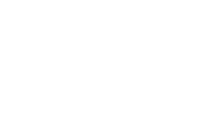 logo-anios-blanc-simple-2