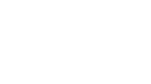 logo-hms-vilgo-blanc-2