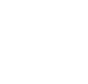logo-vermeiren-blanc-3